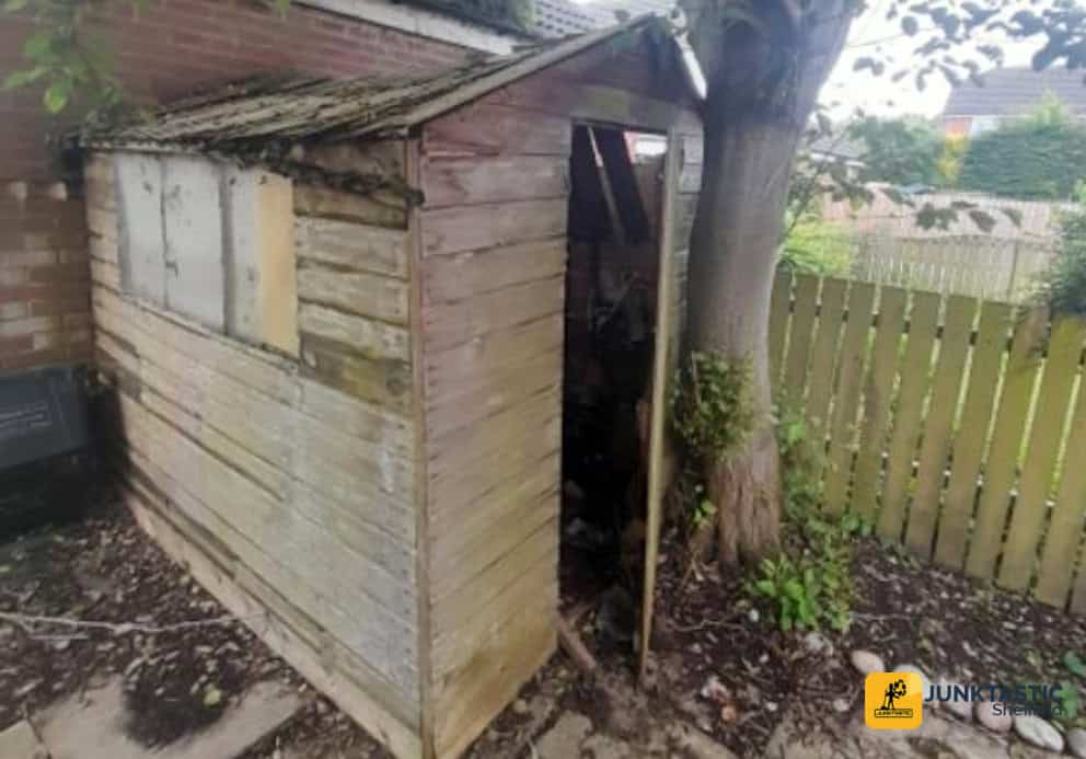 garden-clearance-Ecclesall-small-wooden-shed