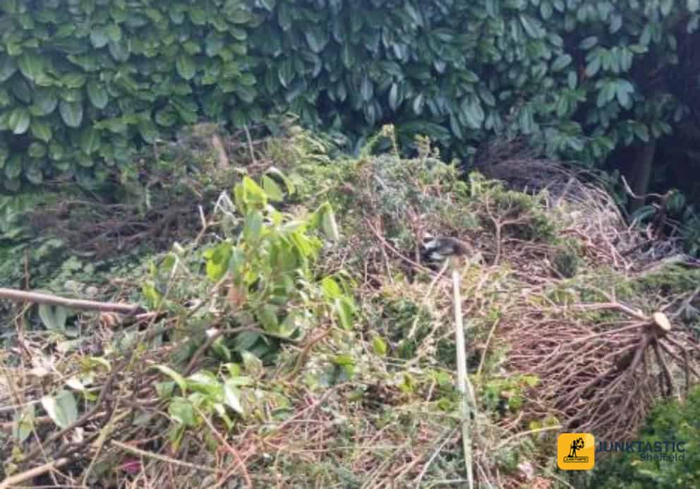 garden-clearance-Wisewood-grass-pile